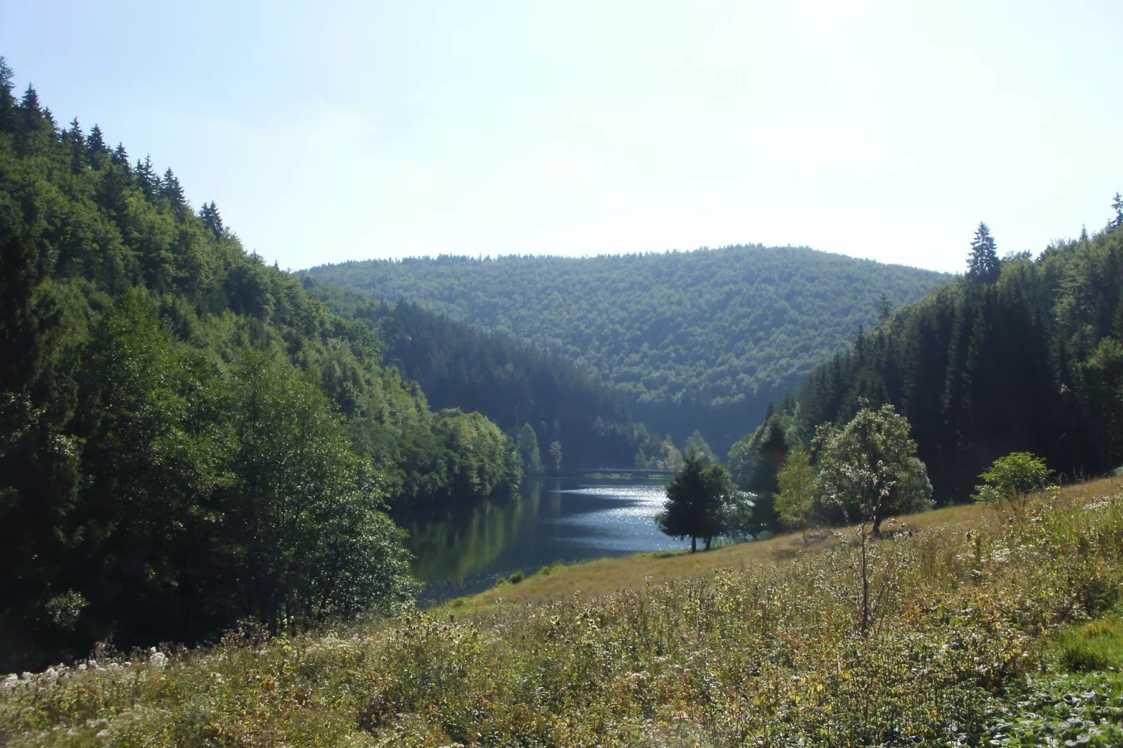 Am Thüringer Rennsteig-Gebieden zomer 5km