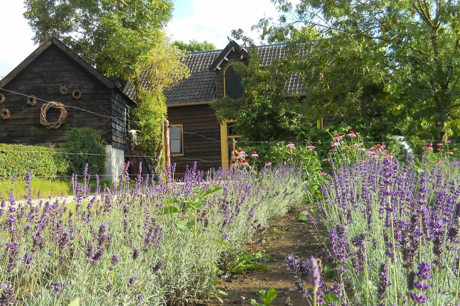 Koetshuis 't Geyn-Landgoed Noordenhoek-Buitenkant zomer