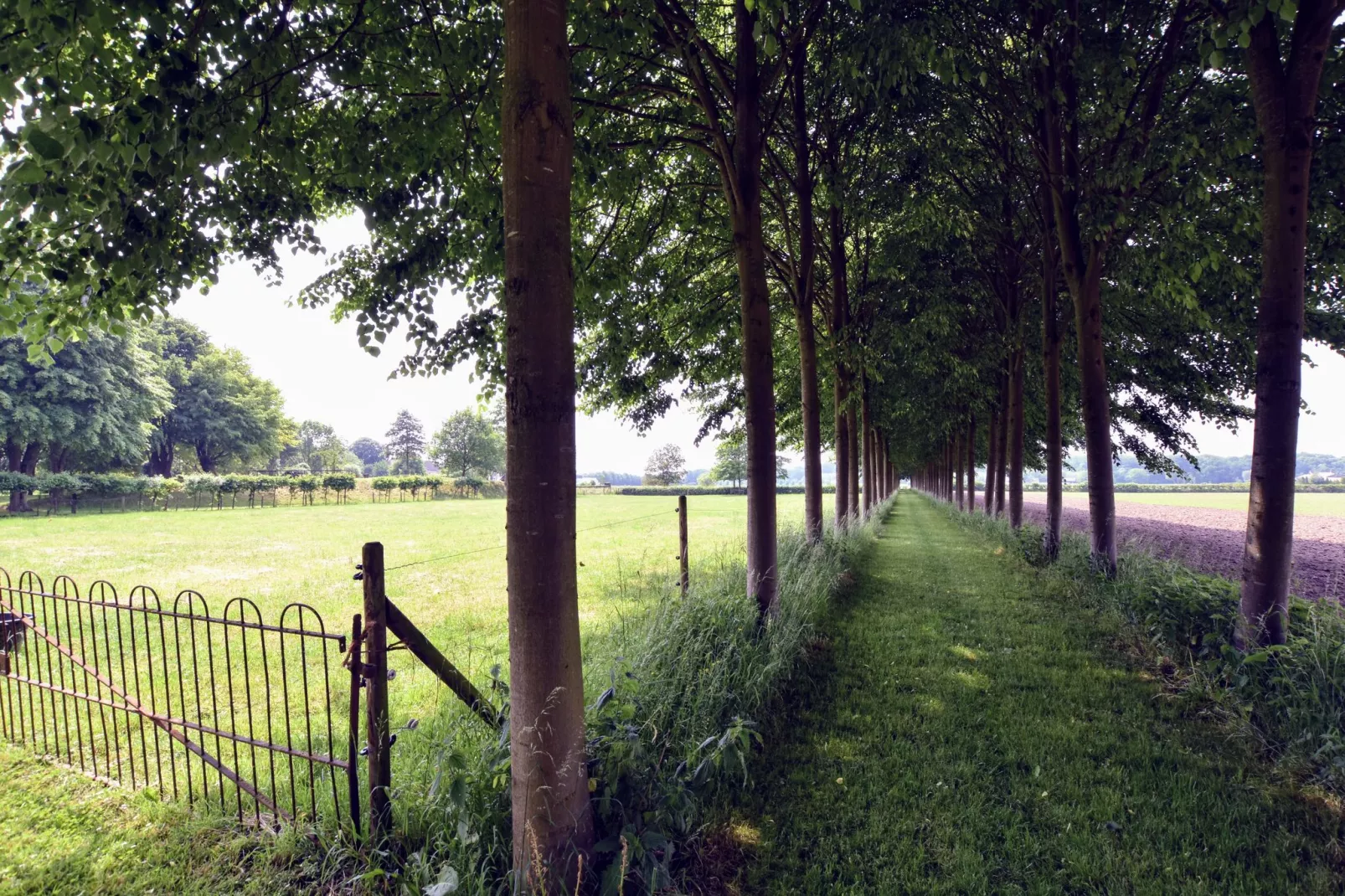 Koetshuis 't Geyn-Landgoed Noordenhoek-Tuinen zomer