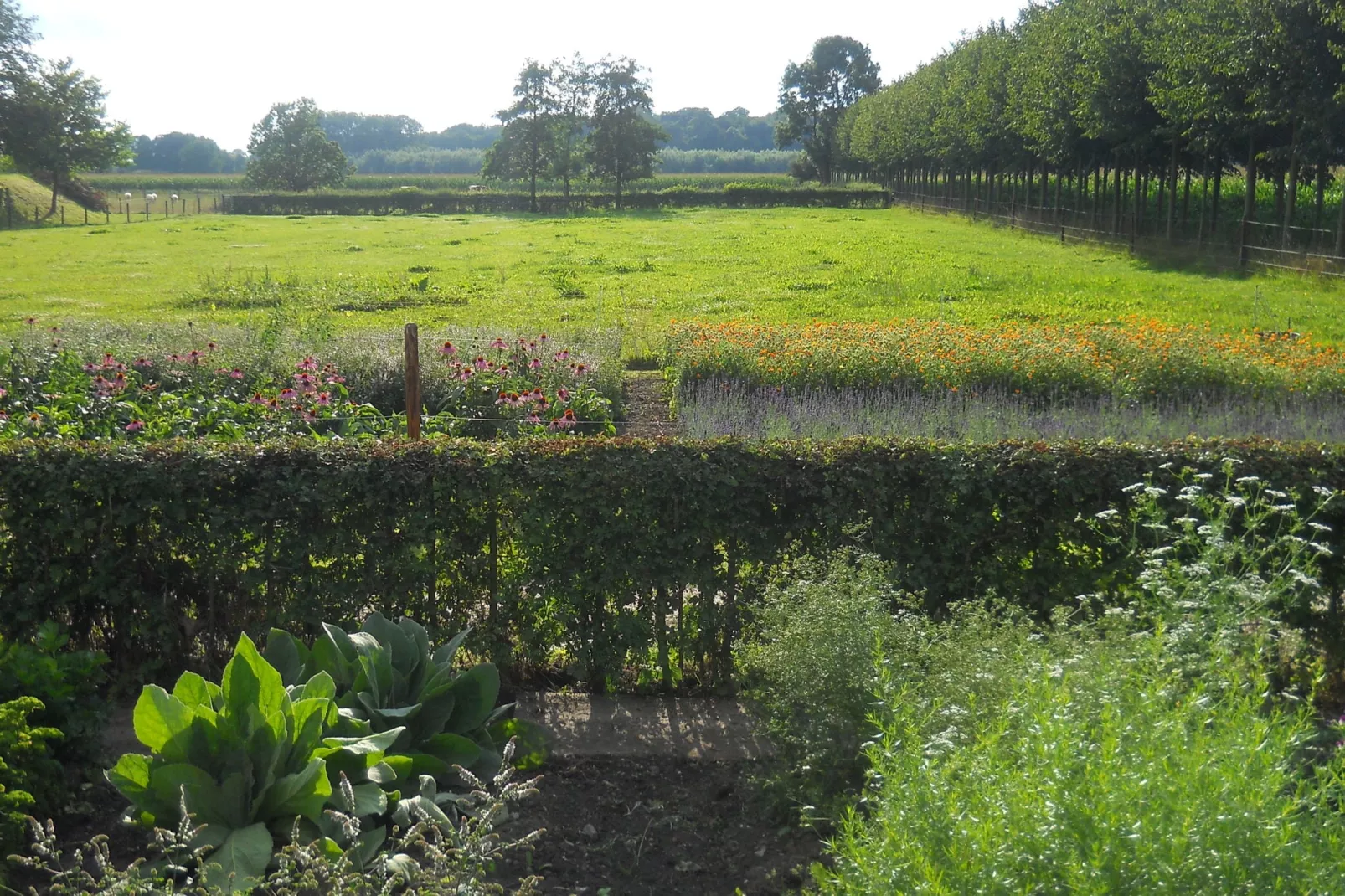 Koetshuis 't Geyn-Landgoed Noordenhoek-Tuinen zomer