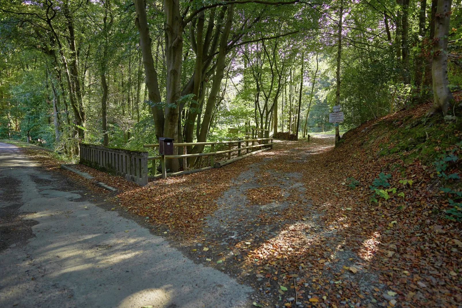 La Statte-Gebieden zomer 1km