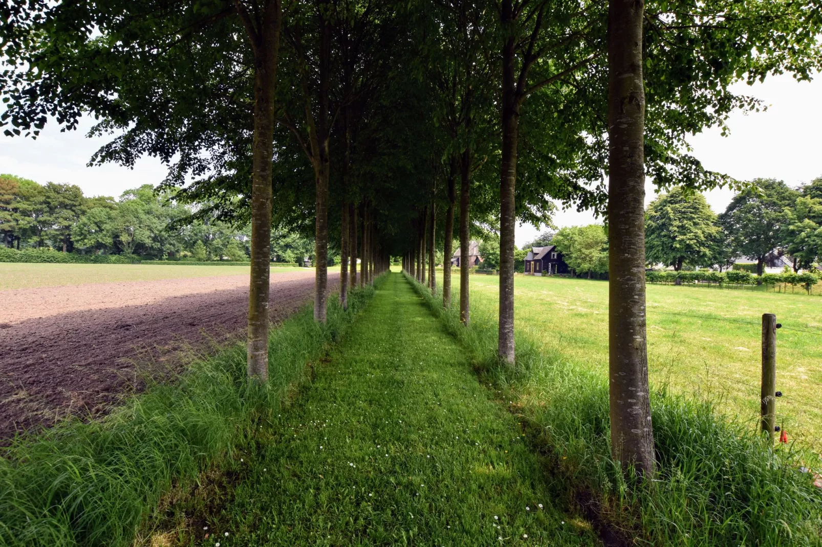 Koetshuis 't Geyn-Landgoed Noordenhoek-Gebieden zomer 1km