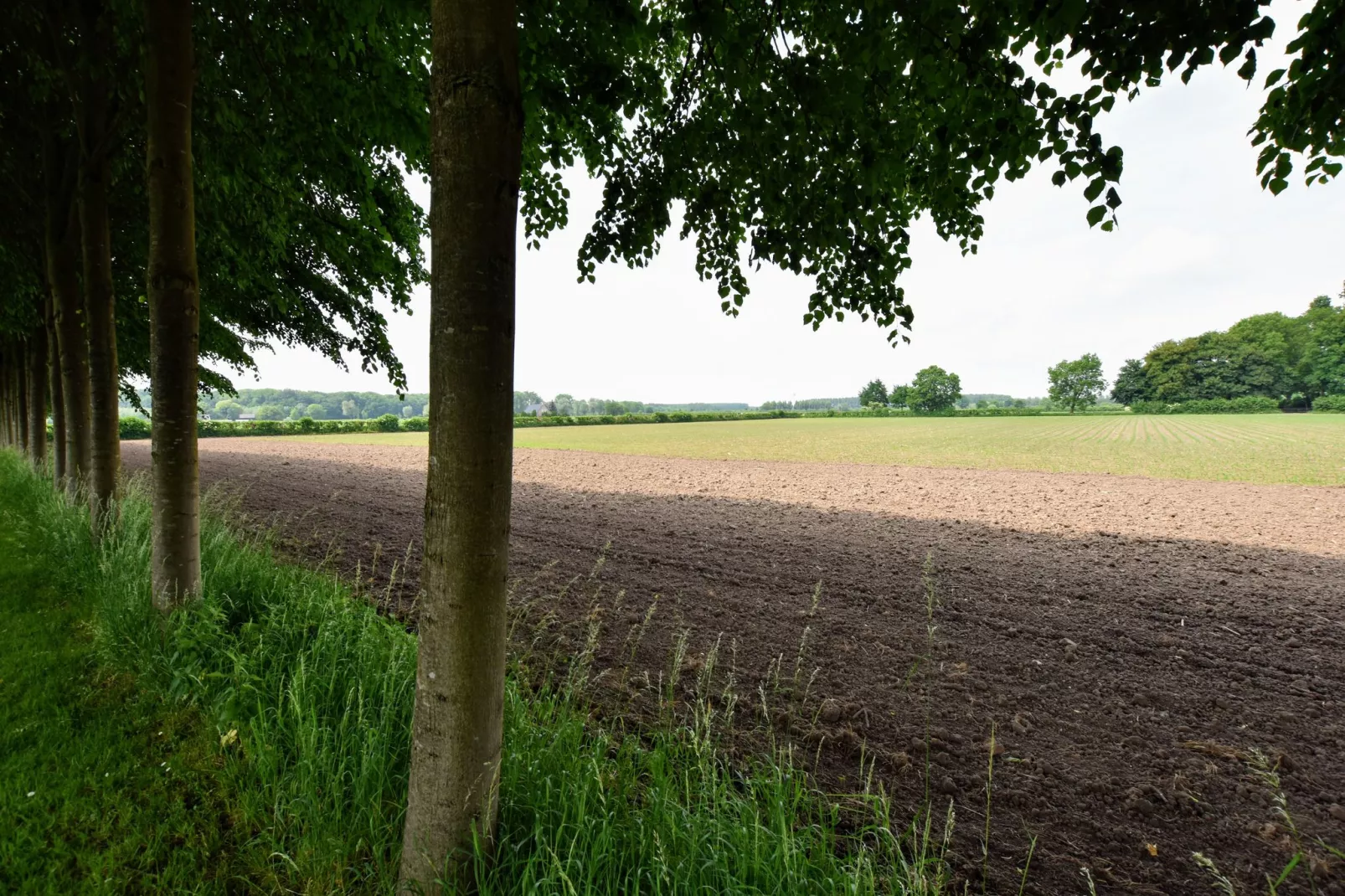 Koetshuis 't Geyn-Landgoed Noordenhoek-Gebieden zomer 1km