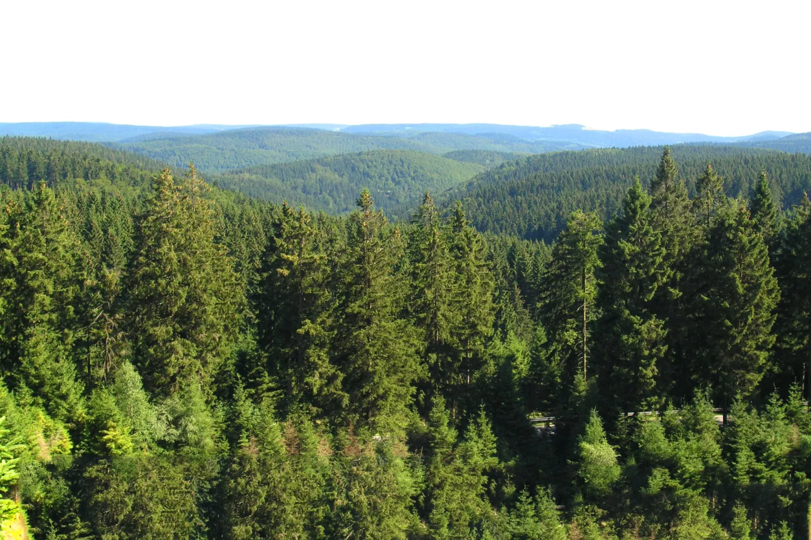 Appartement bij het bos in Frauenwald Thüringen-Gebieden zomer 5km