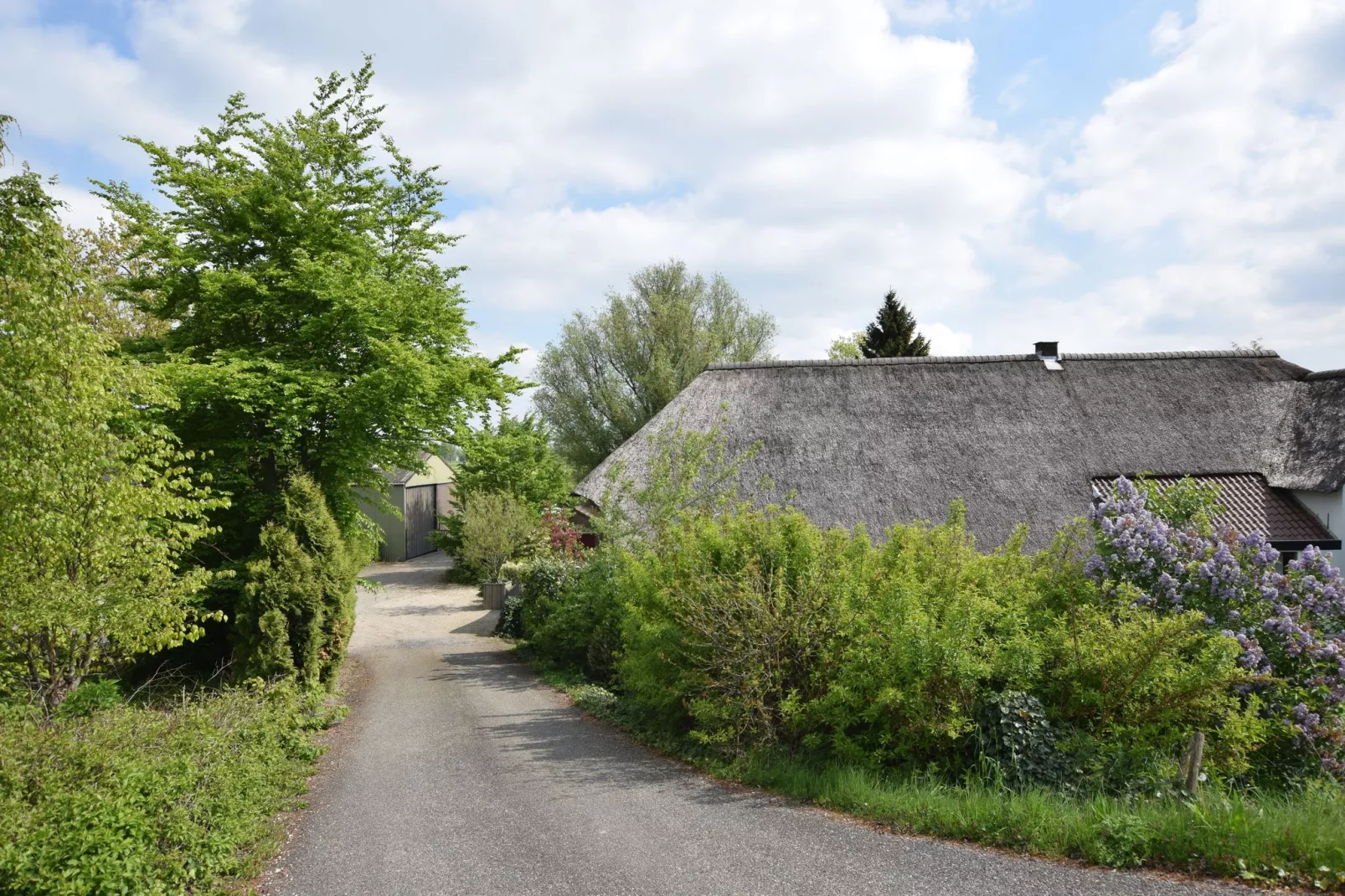 Hoeve Hoogst Tevreden-Buitenkant zomer