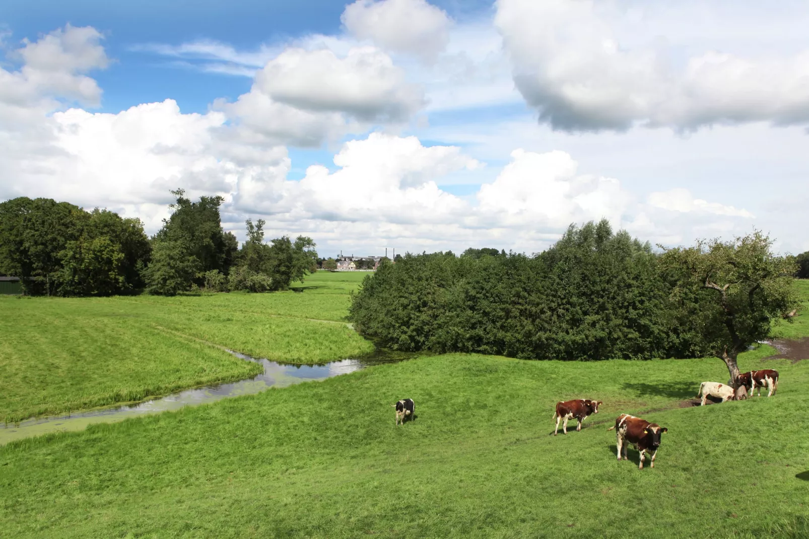 Hoeve Hoogst Tevreden-Uitzicht zomer