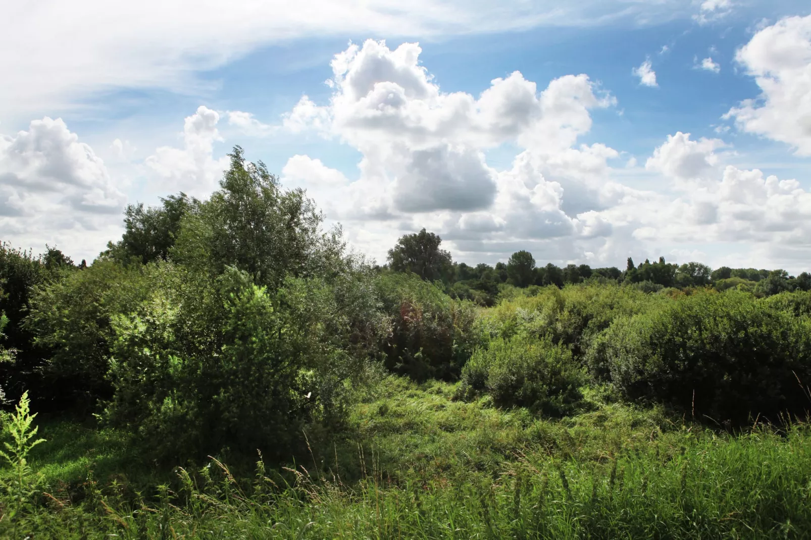 Hoeve Hoogst Tevreden-Uitzicht zomer