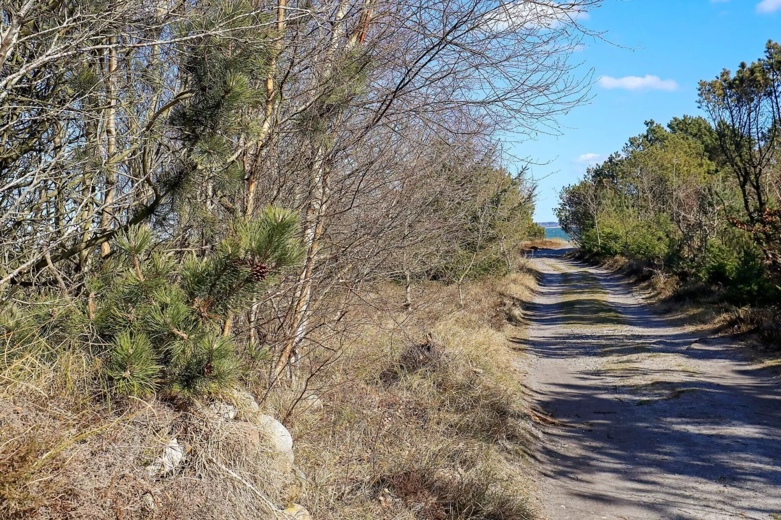 8 persoons vakantie huis in Thyholm-By Traum-Buitenlucht