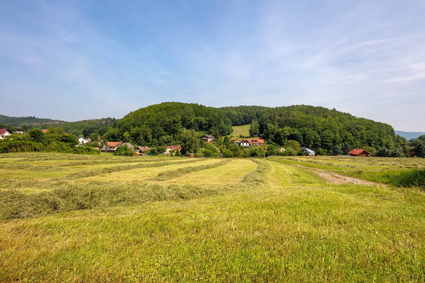 Mosbach-Gebieden zomer 5km
