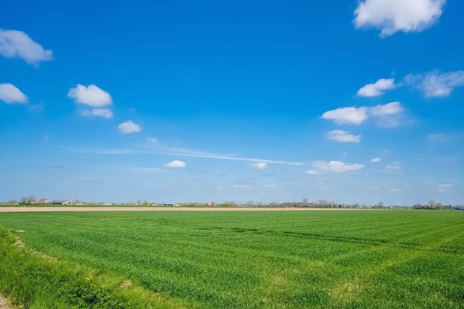 Farm Lodge Zwaluw-Uitzicht zomer