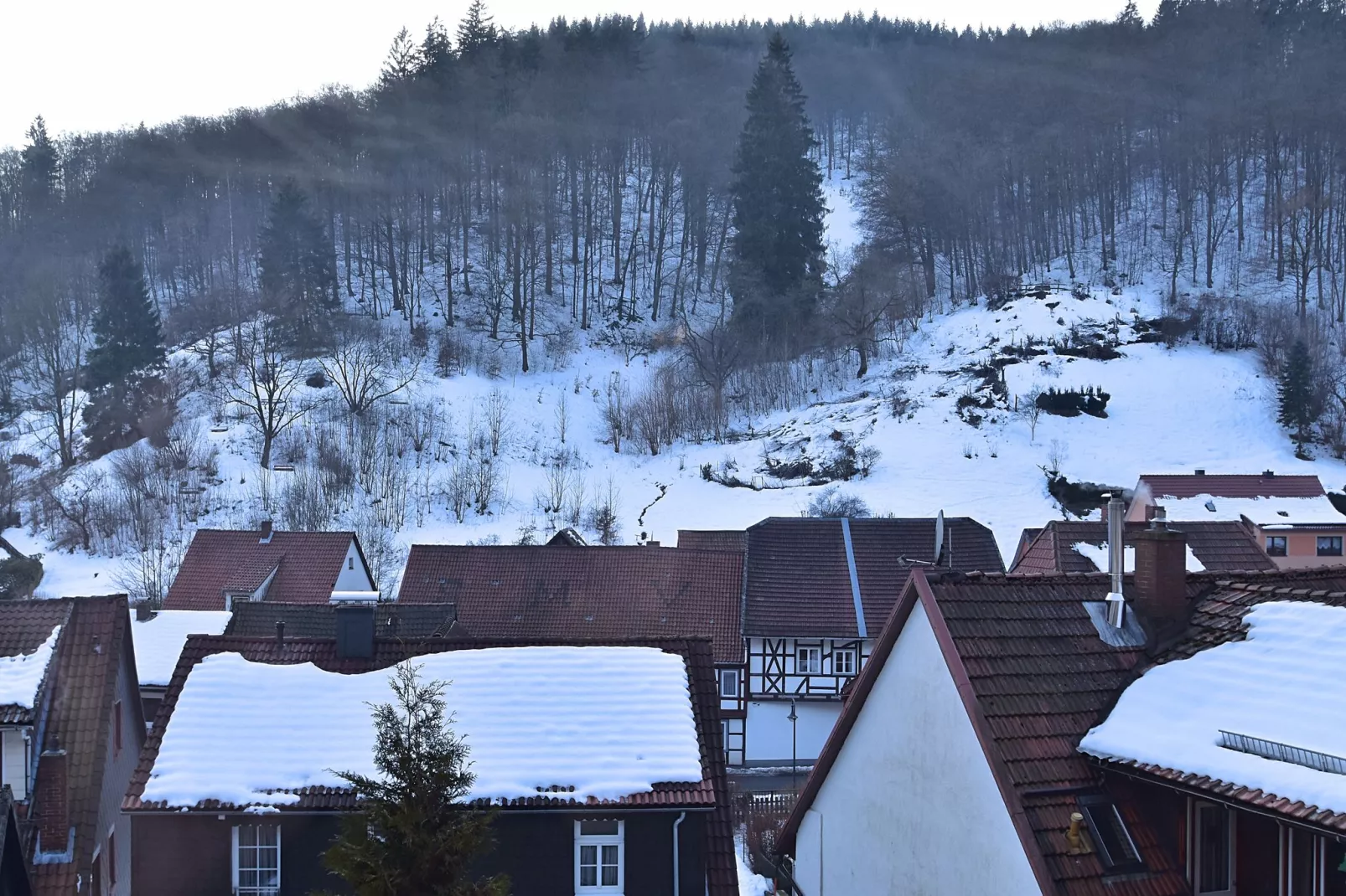 Zorge im Harz-Uitzicht winter