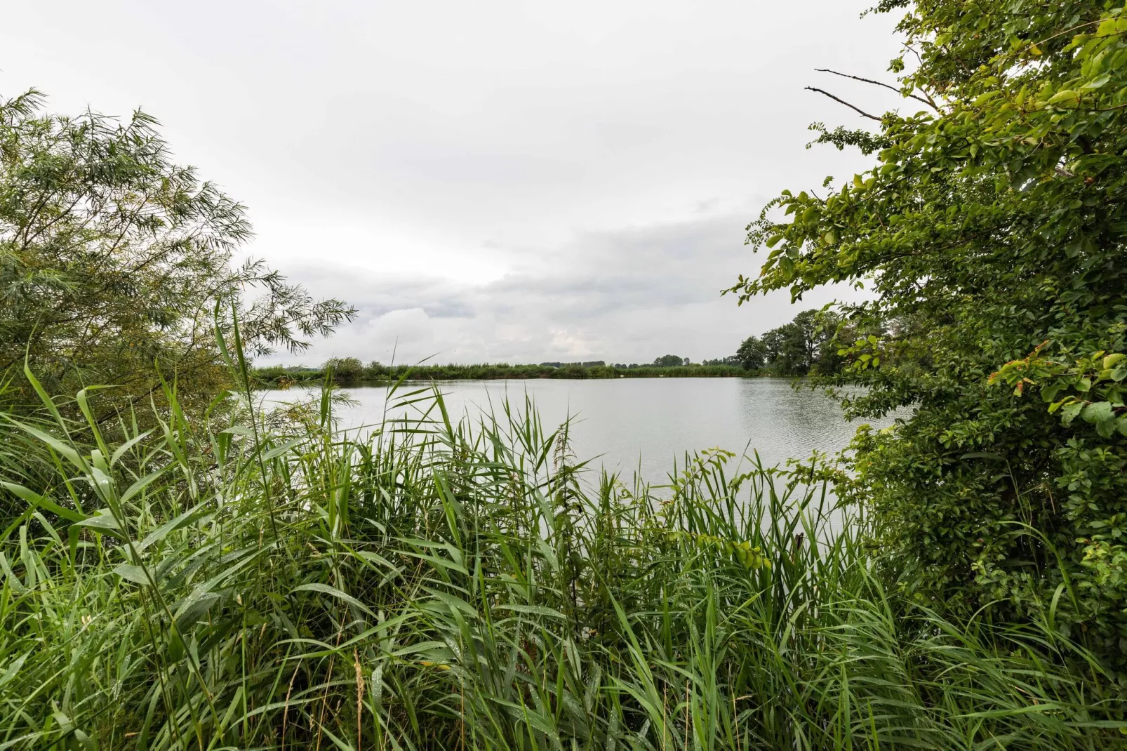 Farm Lodge Zwaluw-Gebieden zomer 1km