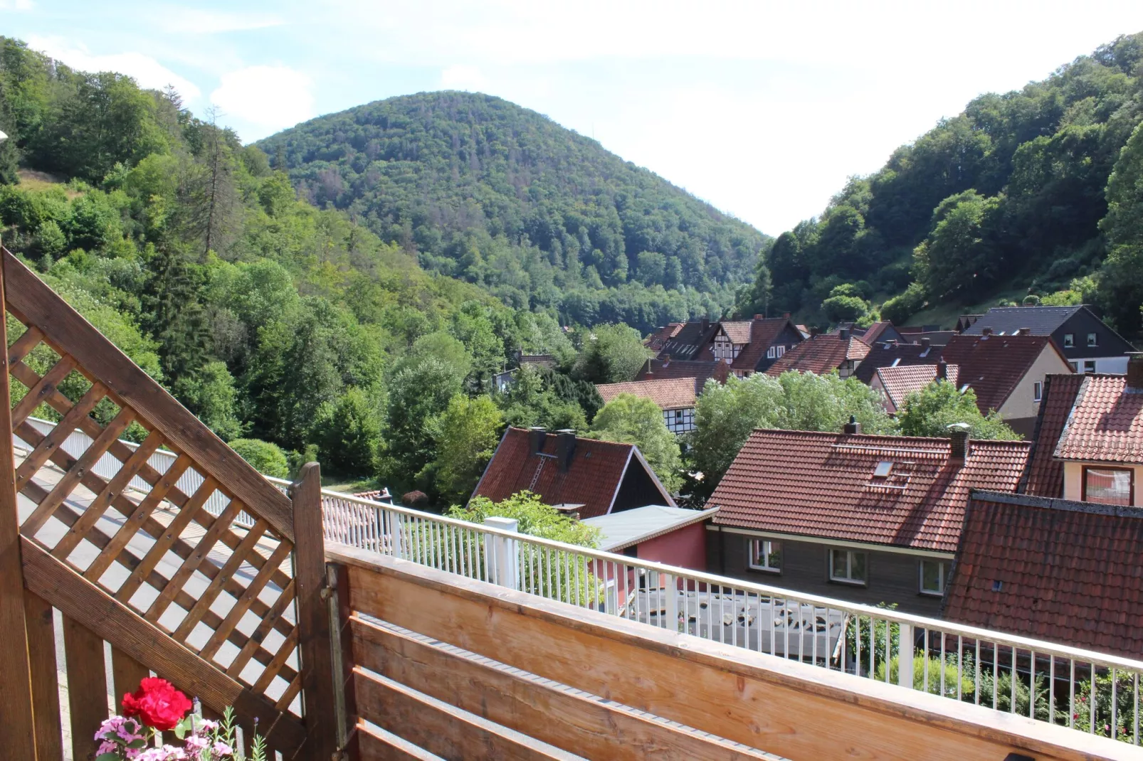 Zorge im Harz-Uitzicht zomer