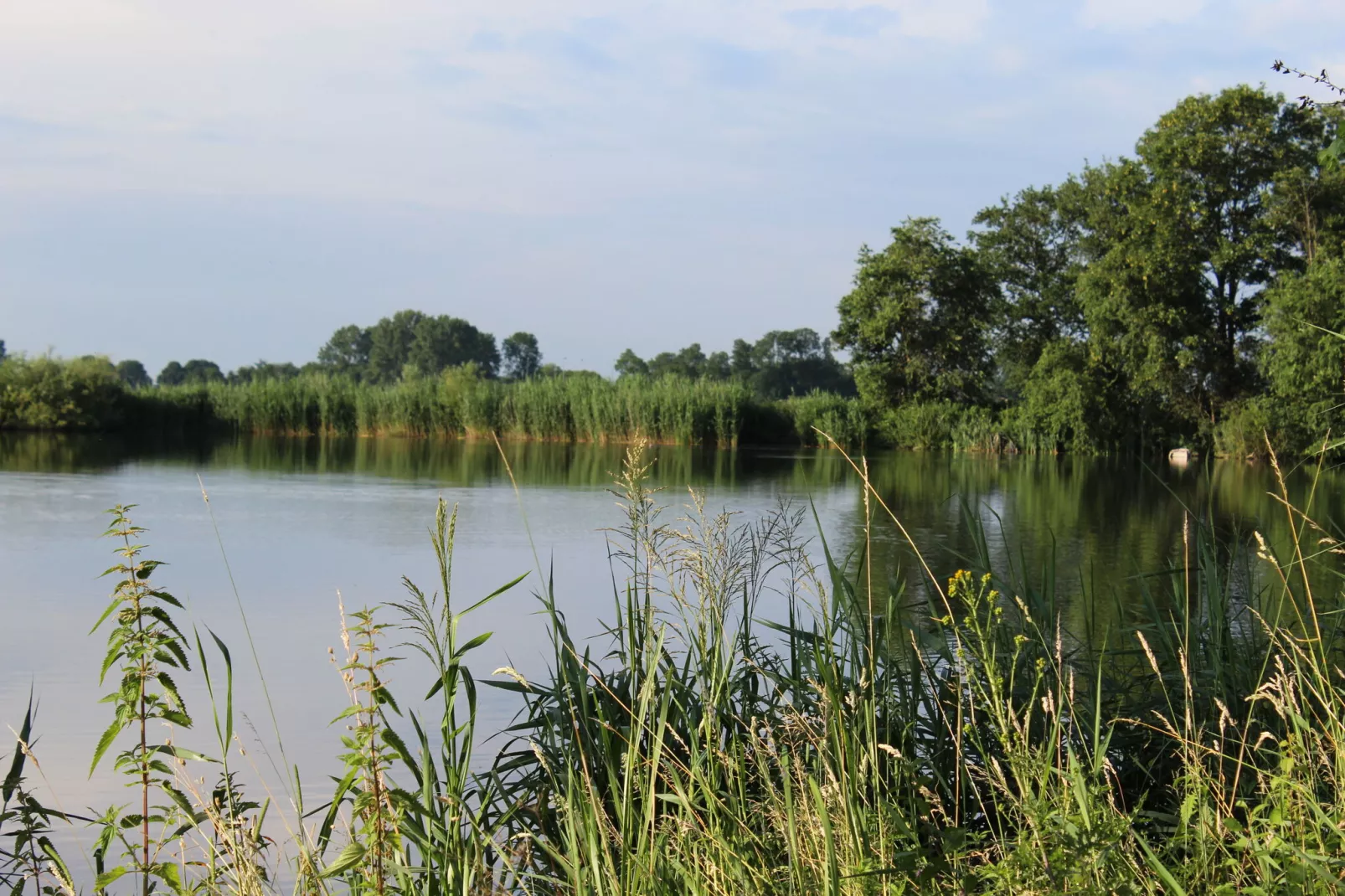 Farm Lodge Zwaluw-Faciliteiten