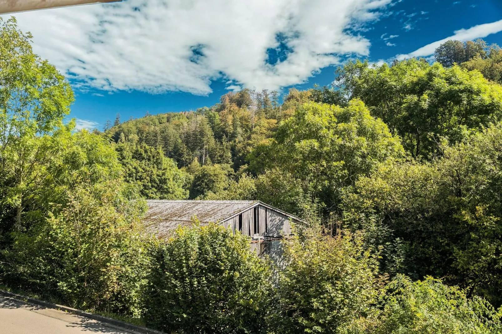 Ferienhaus-Königsalm-Gebieden zomer 1km