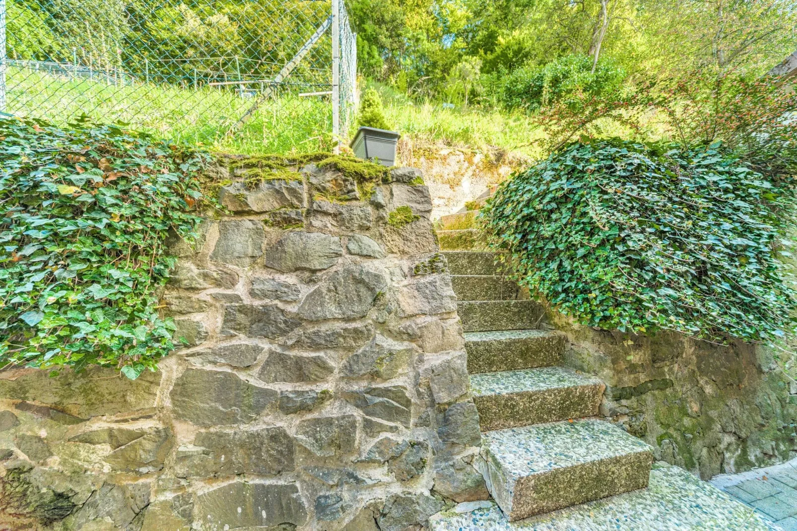 Zorge im Harz-Tuinen zomer