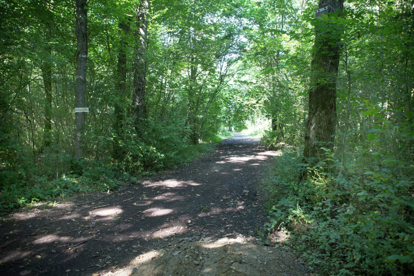 Grand Han-Gebieden zomer 1km