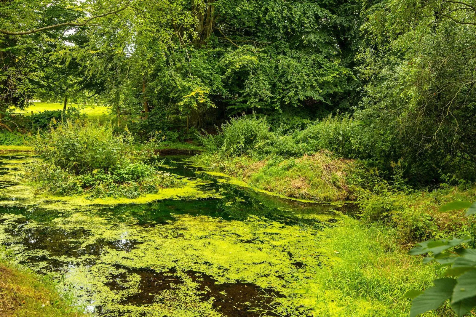 5 sterren vakantie huis in Ebeltoft-Waterzicht