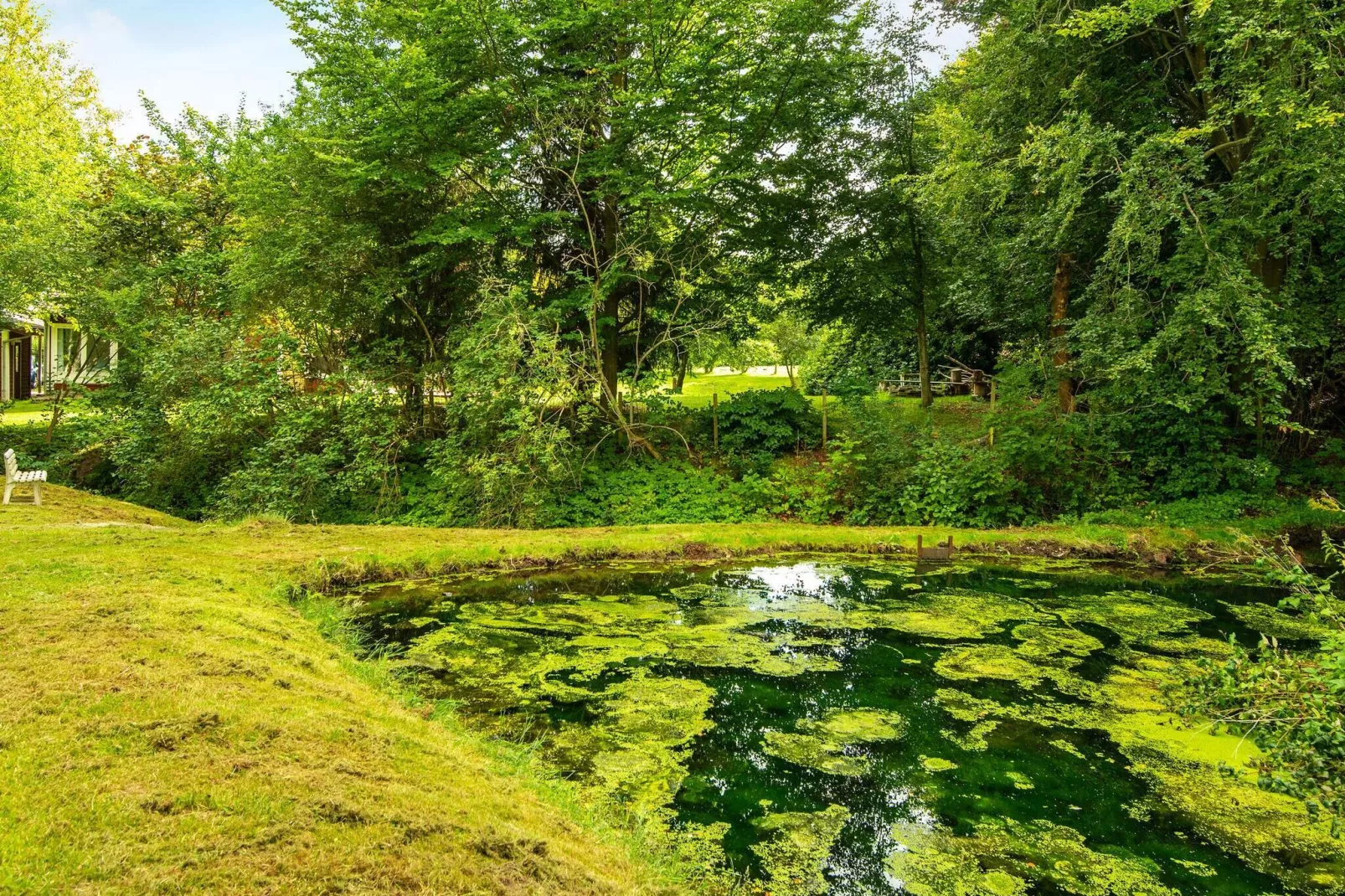 8 persoons vakantie huis in Ebeltoft-Waterzicht