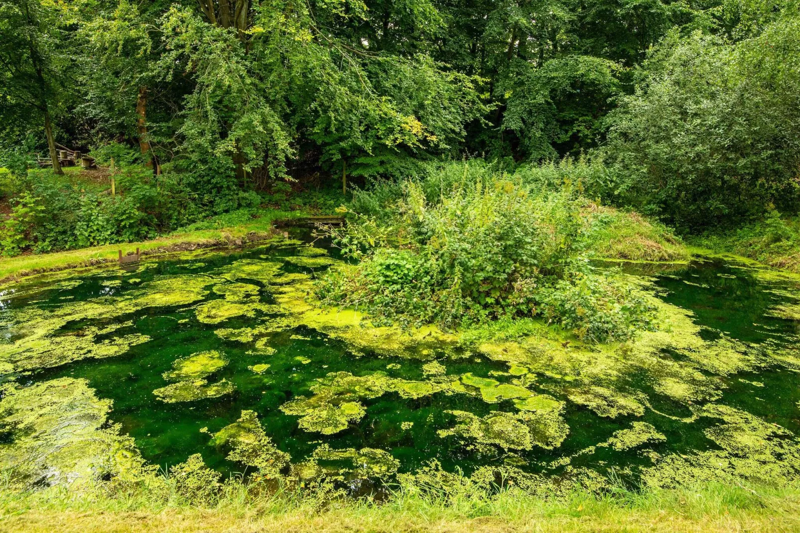 5 sterren vakantie huis in Ebeltoft-Waterzicht