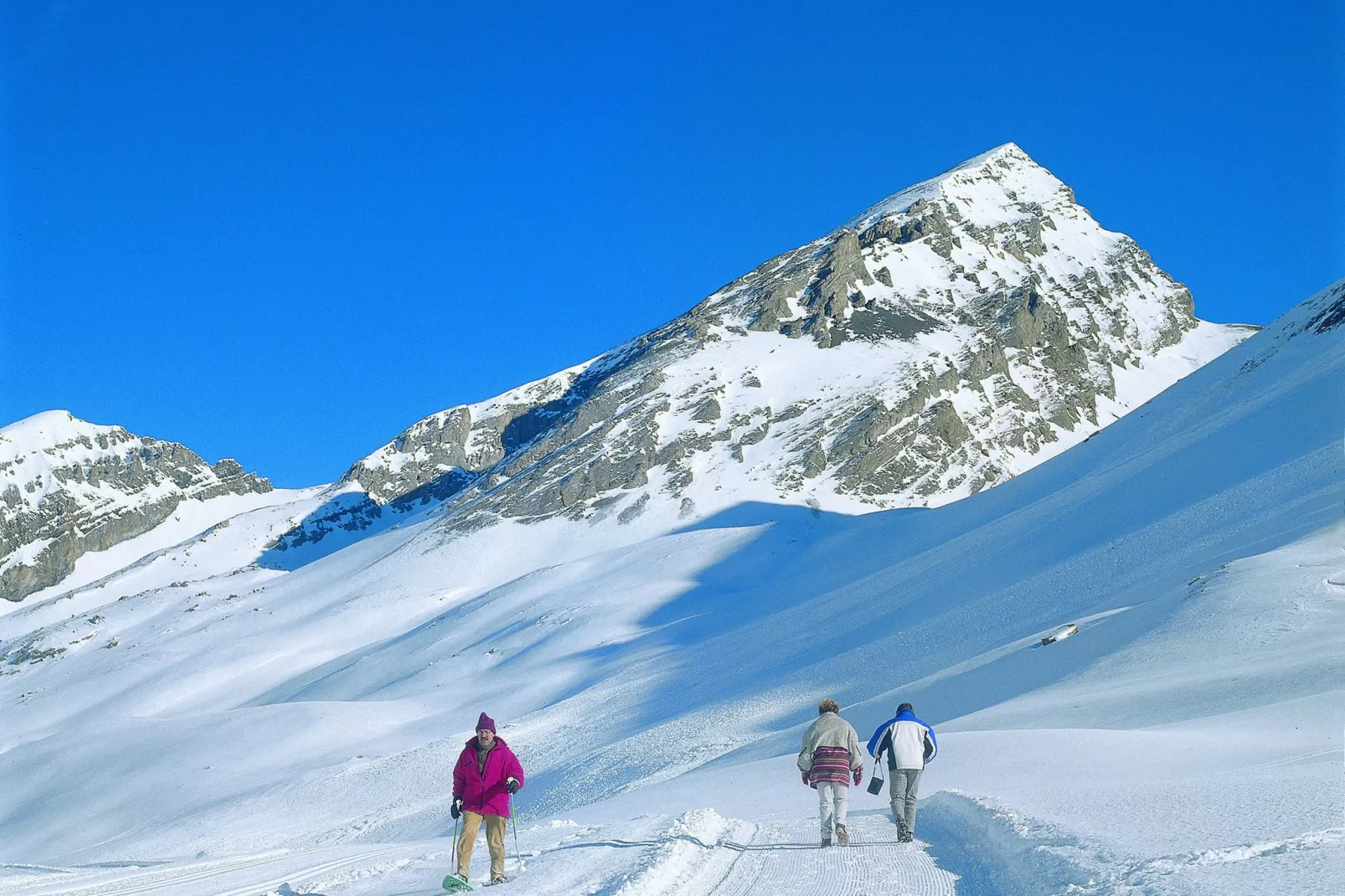 Pierina-Gebied winter 20km