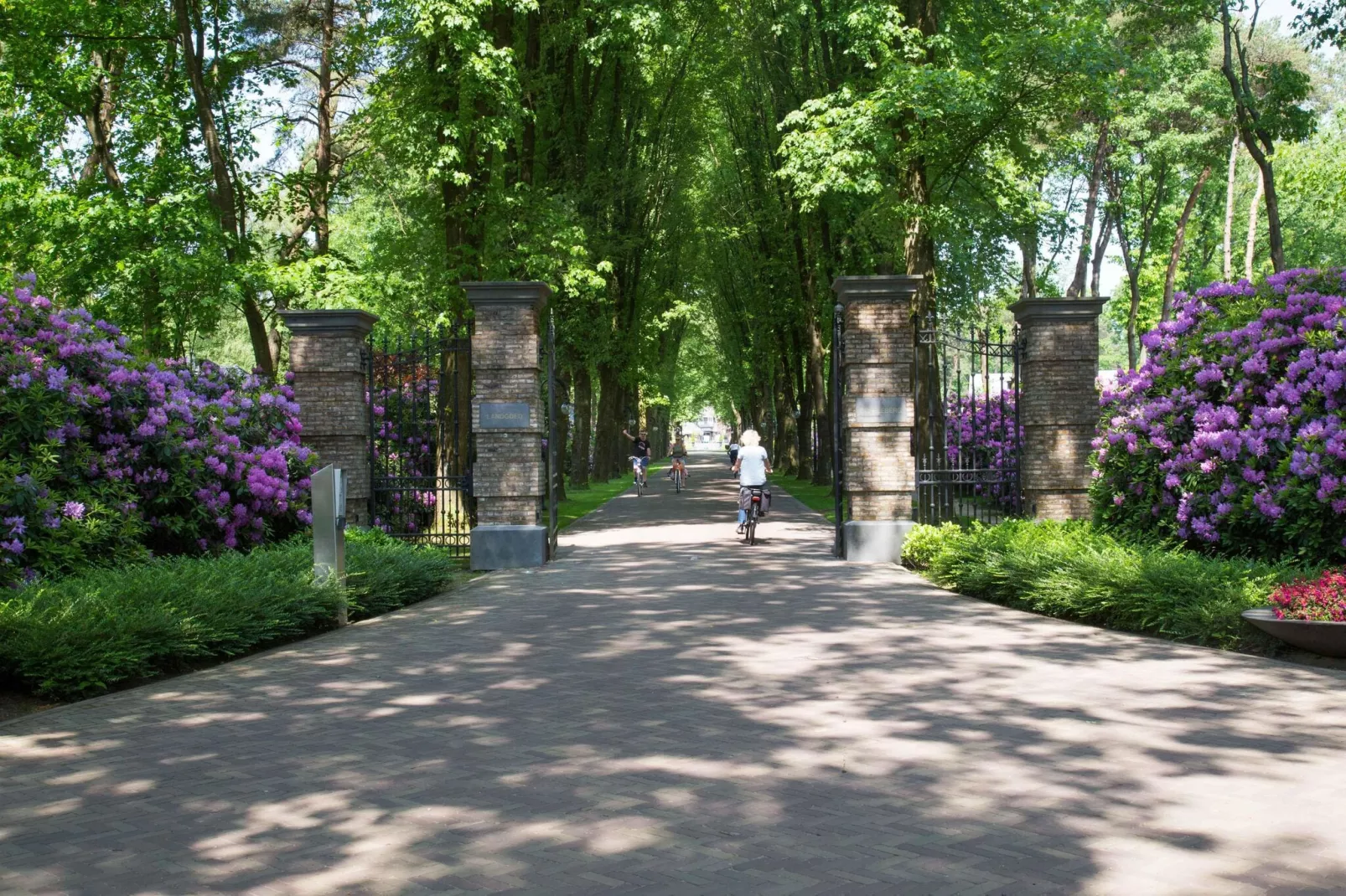 Landgoed De Scheleberg 24-Gebieden zomer 1km