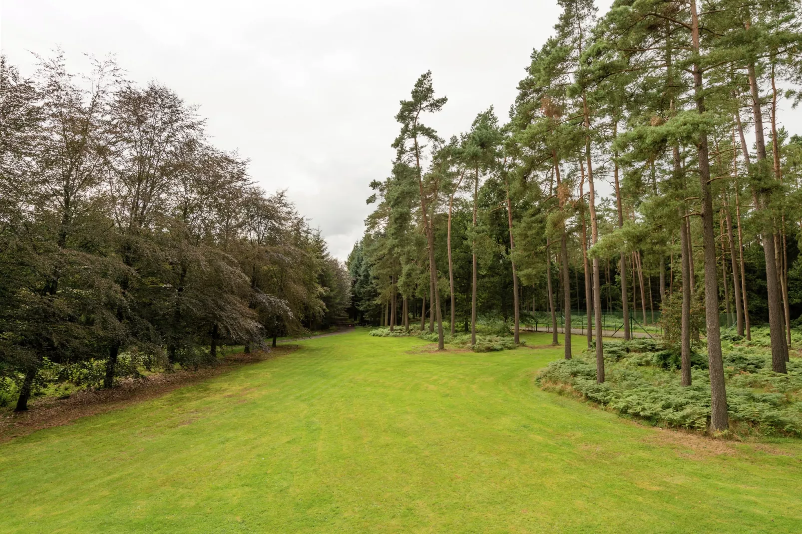 Le Beau Jardin-Tuinen zomer