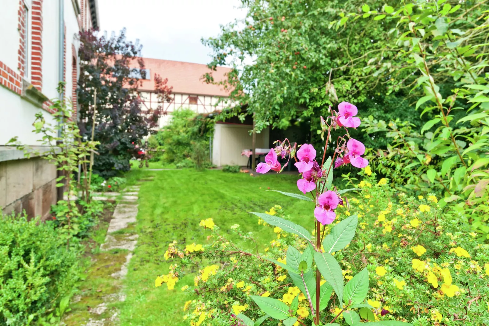 Altes Pfarrhaus & Dorfschule-Tuinen zomer