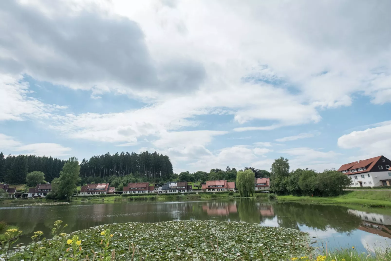 Am Berg-Gebieden zomer 1km