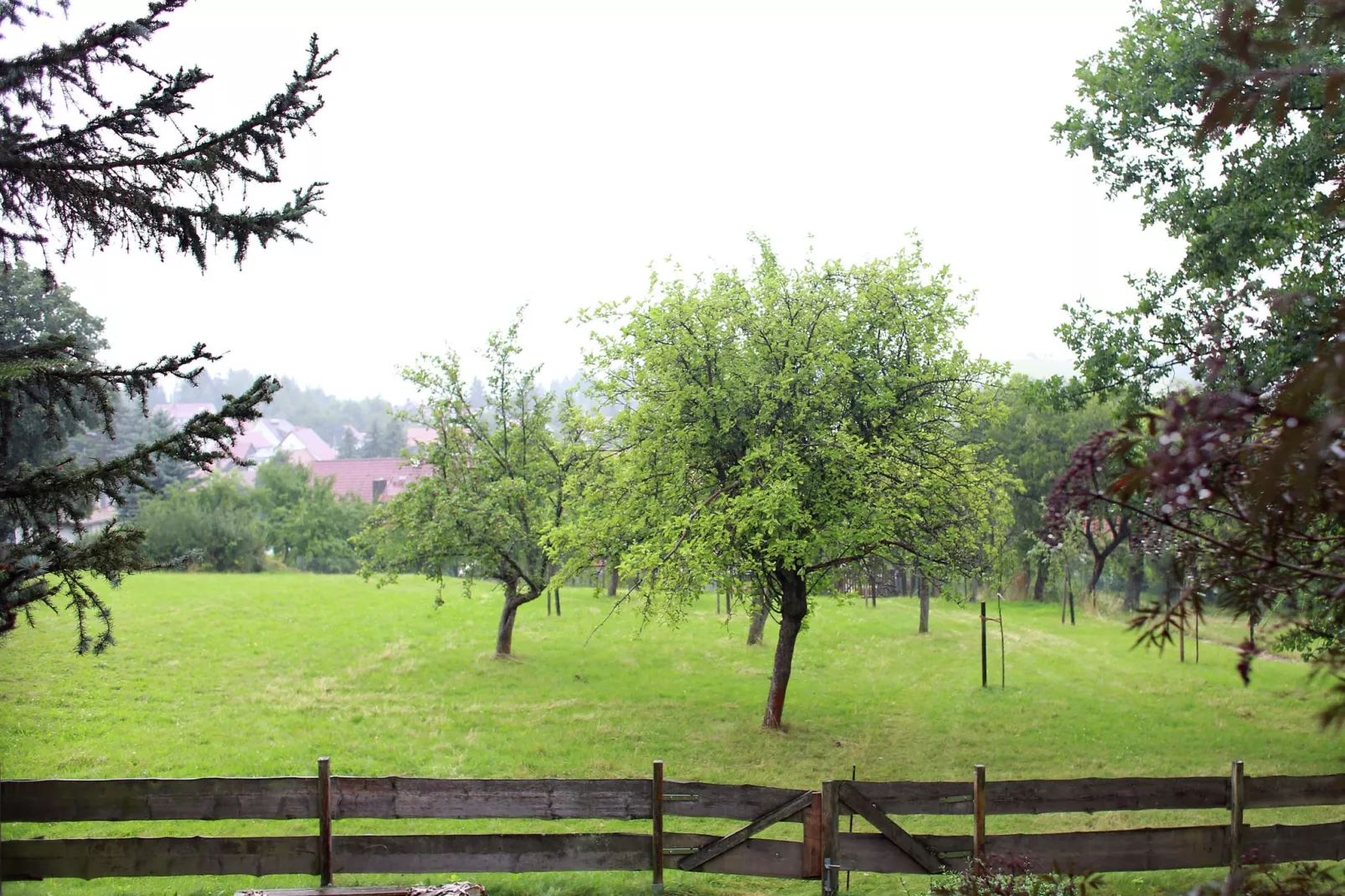 Naturstammhaus-Uitzicht zomer