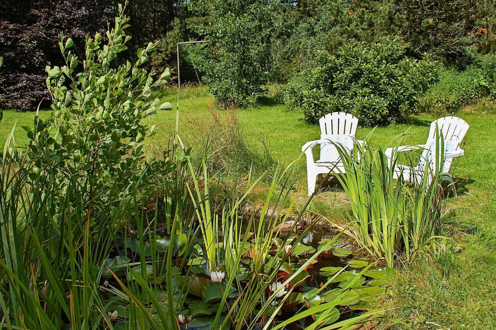 Gezellige chalet in Jerup met prachtige tuin-Uitzicht