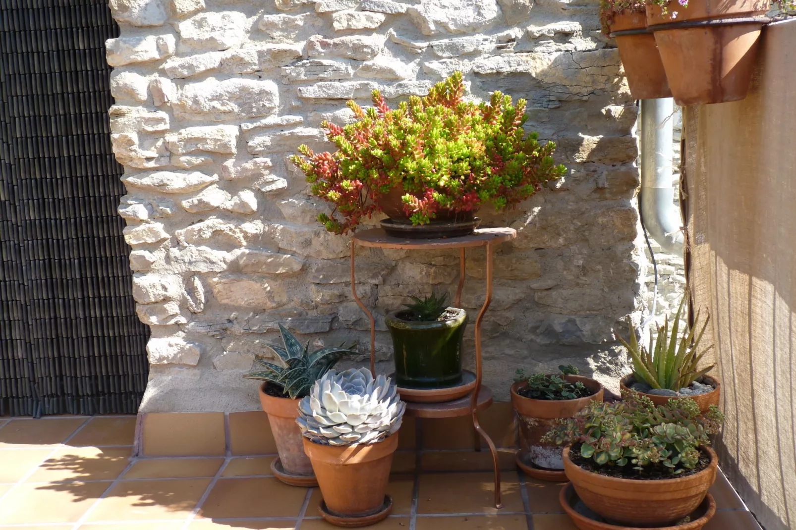 Casa Vella-Sfeer