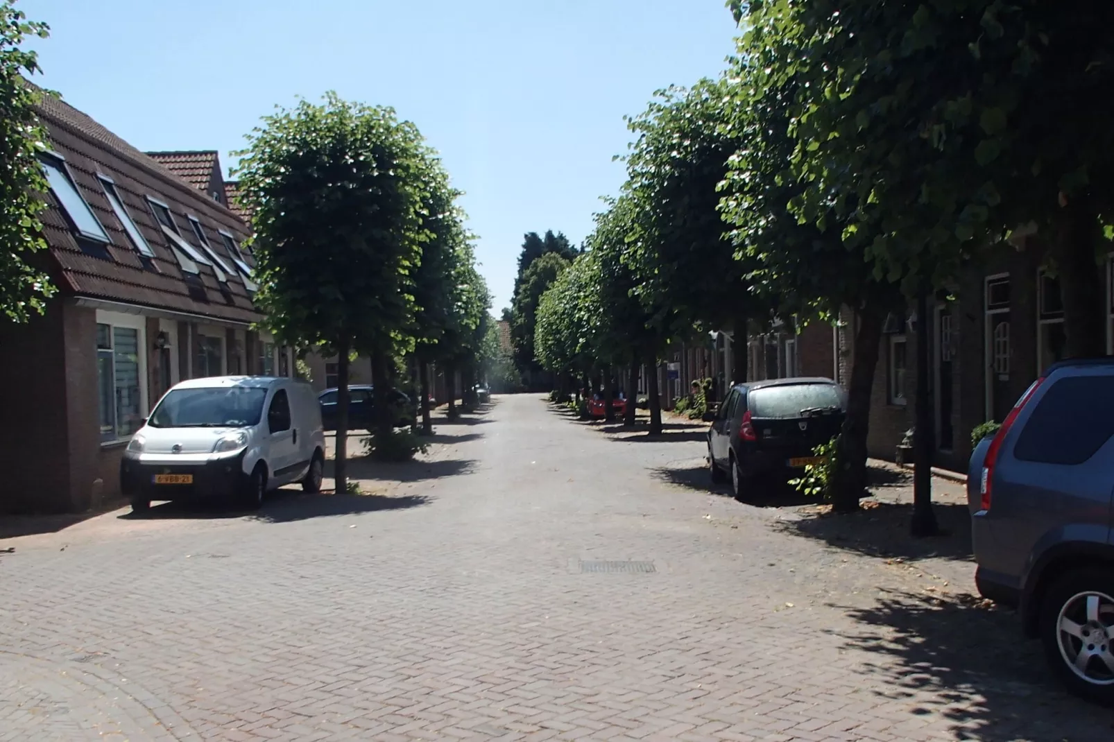 Ritthemse Pracht-Gebieden zomer 1km