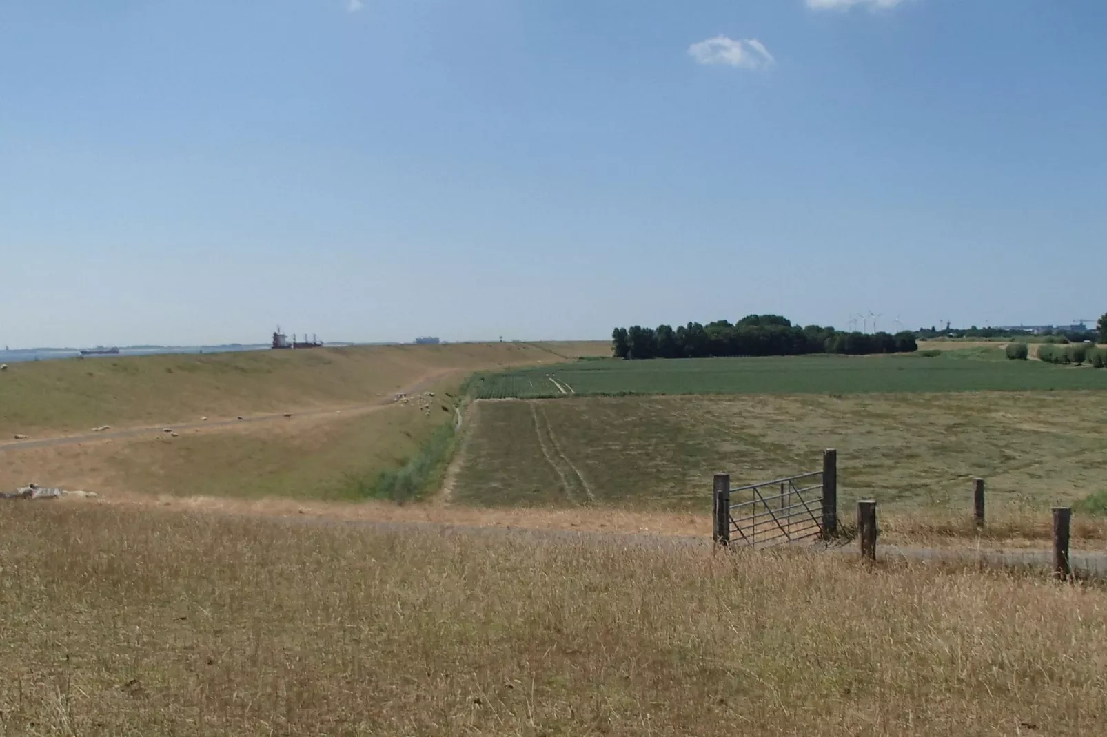 Ritthemse Pracht-Gebieden zomer 5km