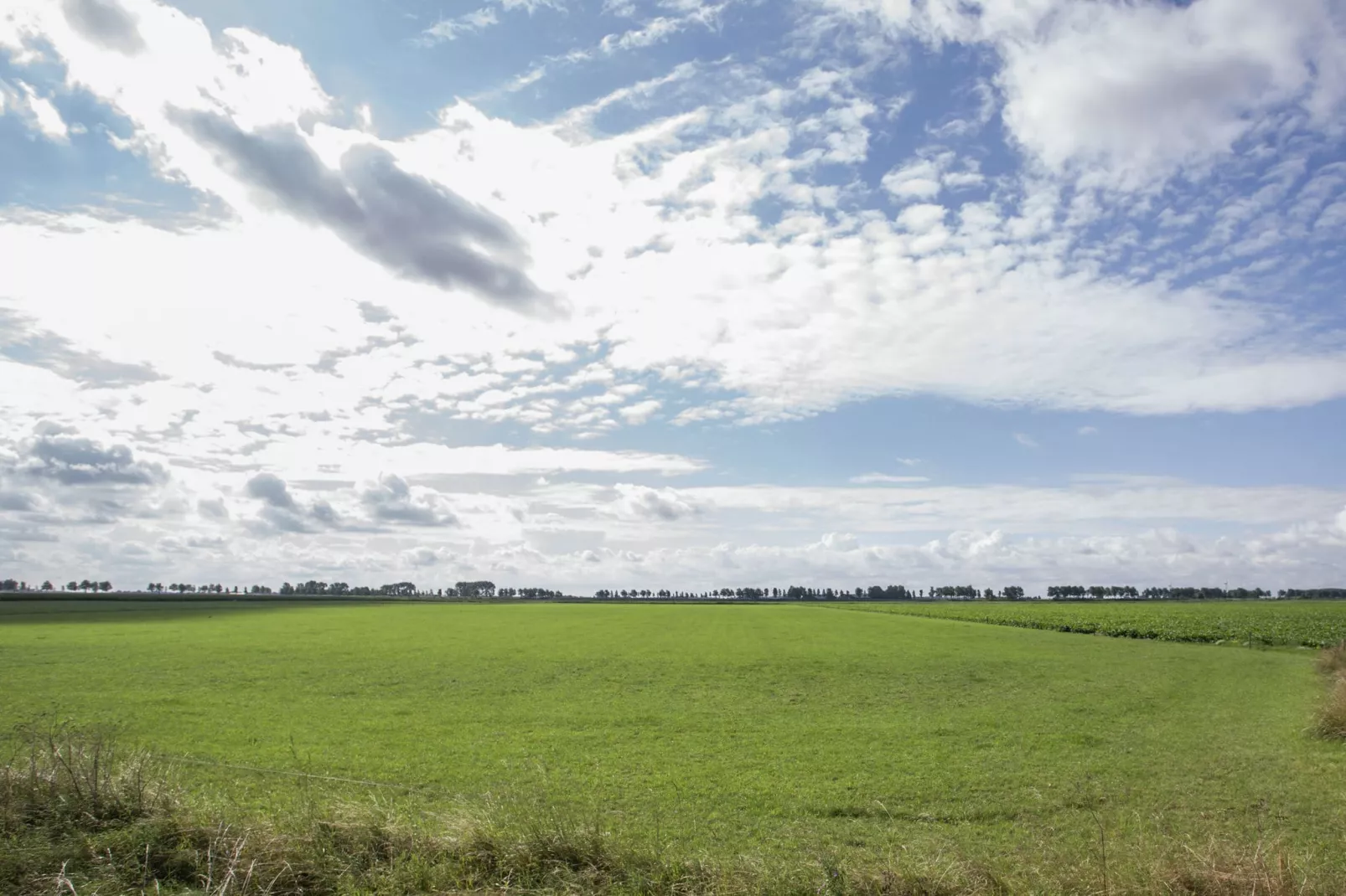 Ritthemse Pracht-Gebieden zomer 20km