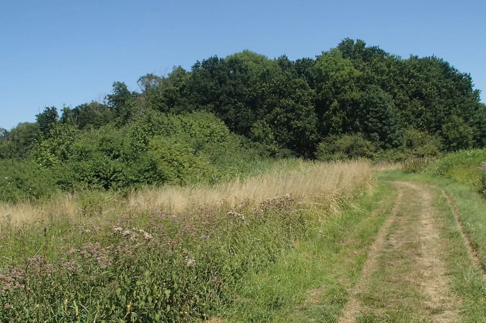 Ritthemse Pracht-Gebieden zomer 20km