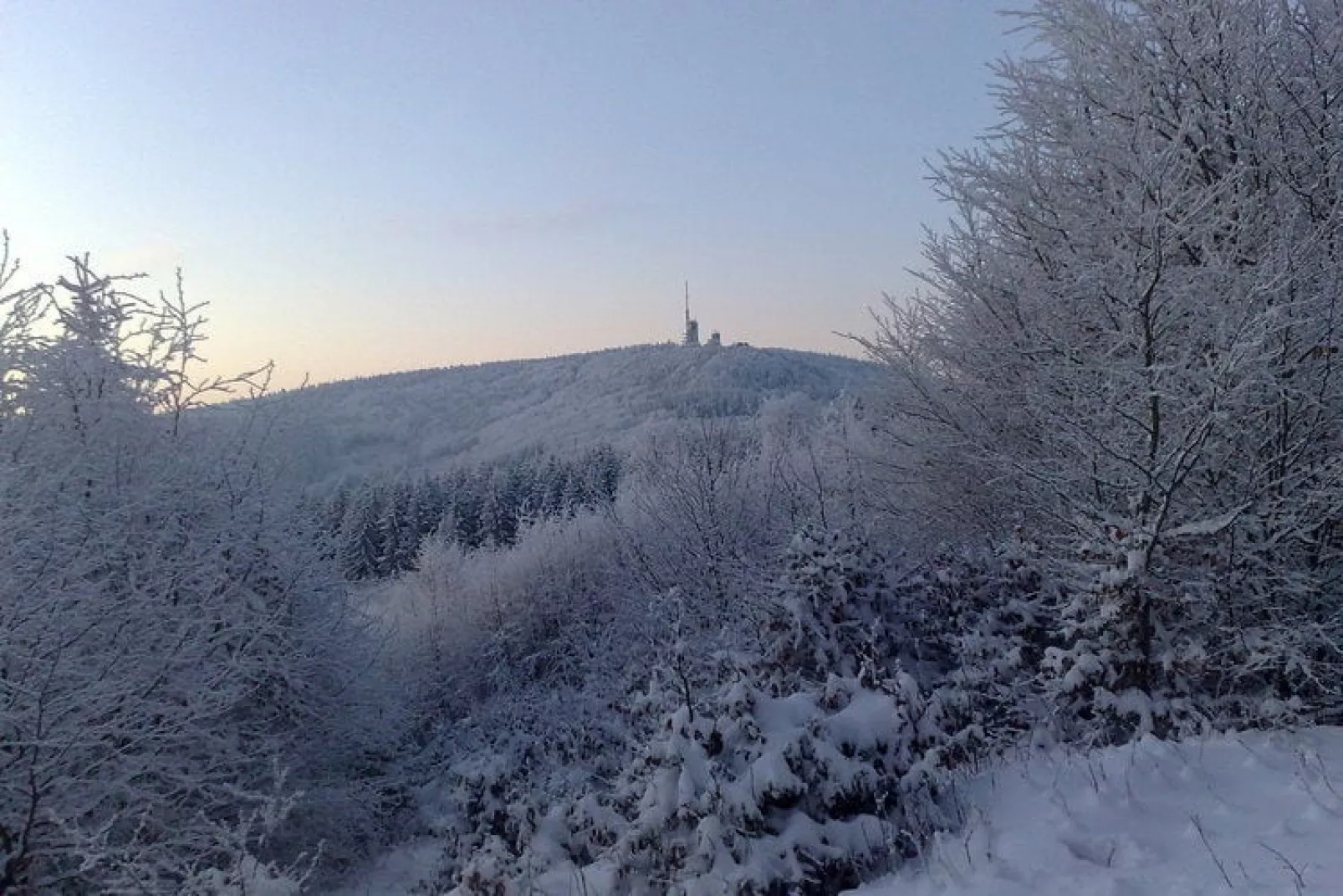 Am Wald-Gebied winter 1km