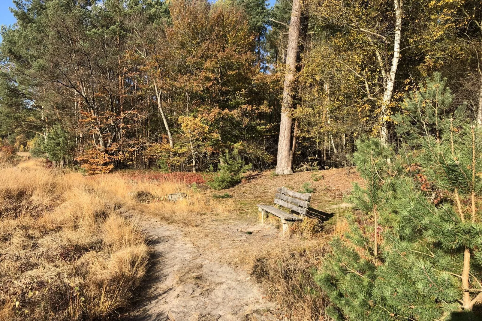 Landgoed de Klimberg-Gebieden zomer 5km