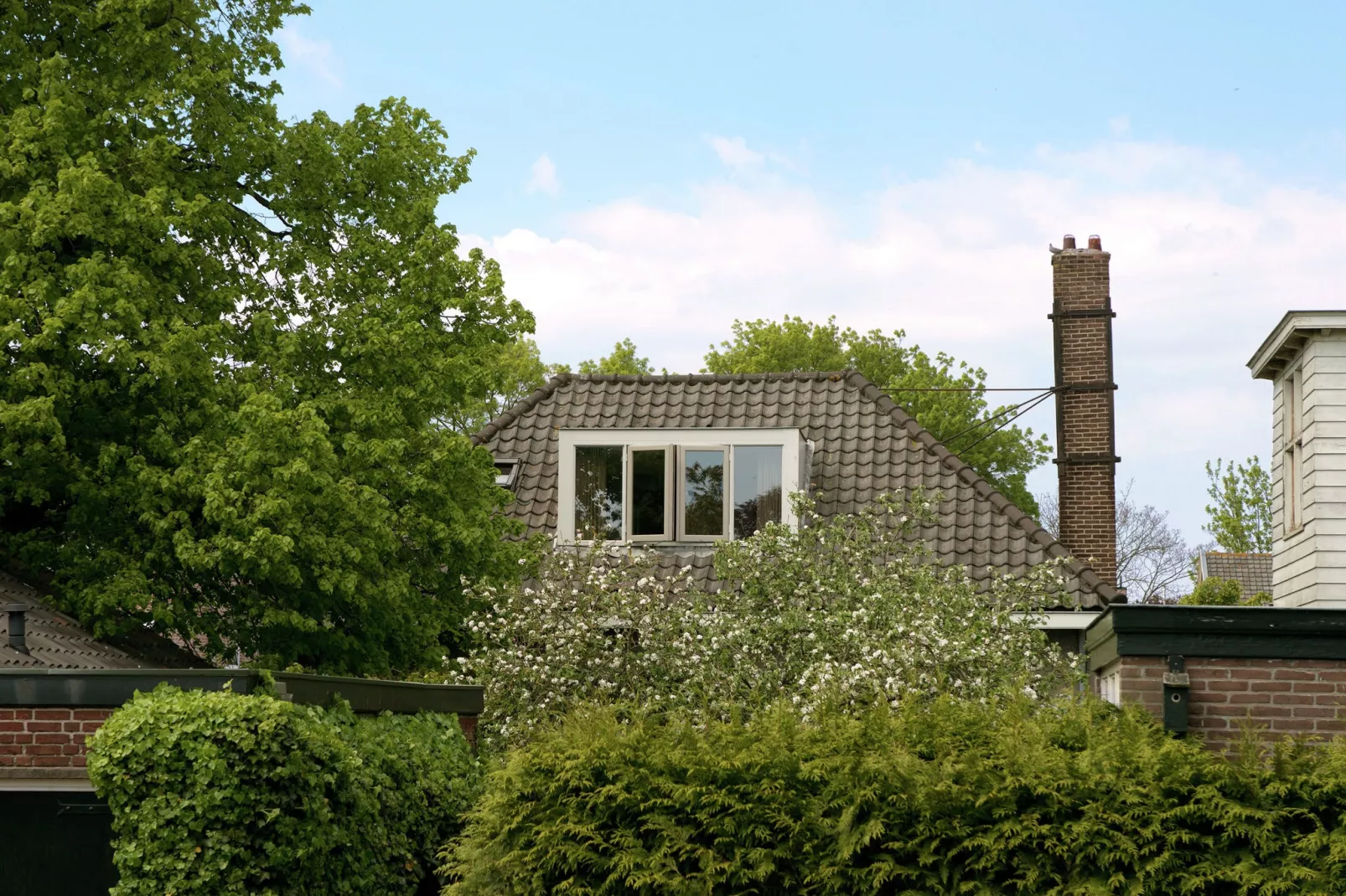 Villa Nobel Schagen-Buitenkant zomer