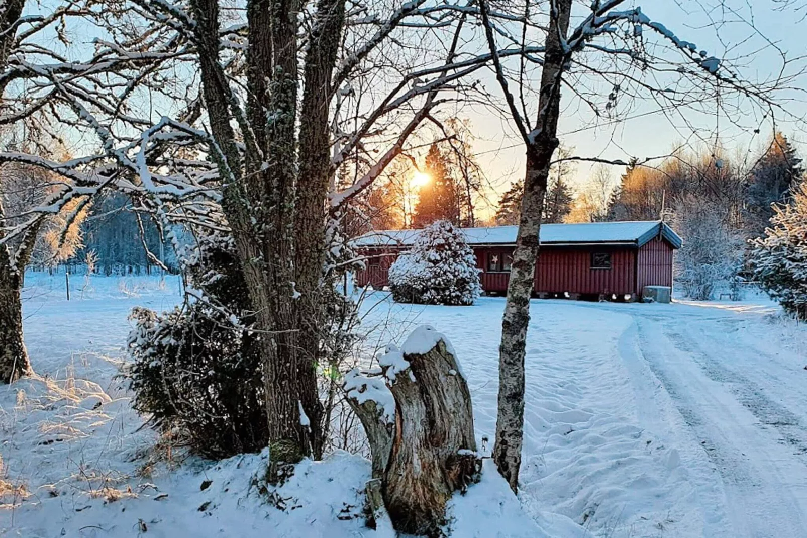 4 persoons vakantie huis in SANDHEM-Buitenlucht