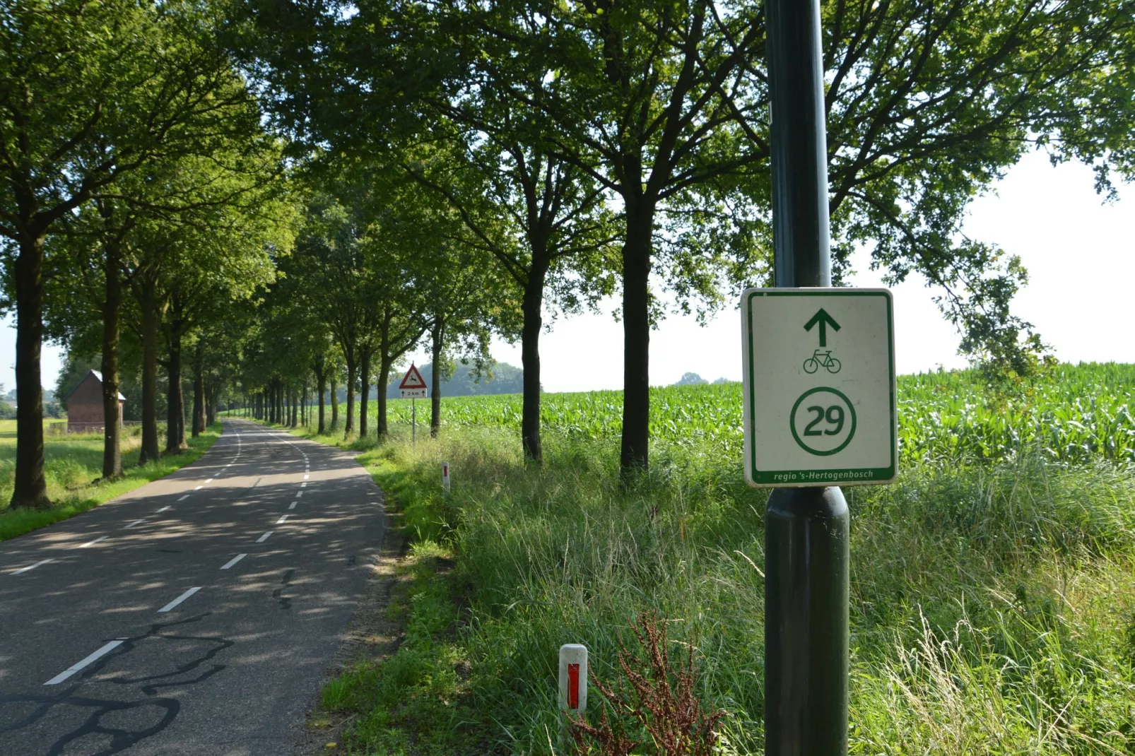 Jules Verne-Gebieden zomer 1km