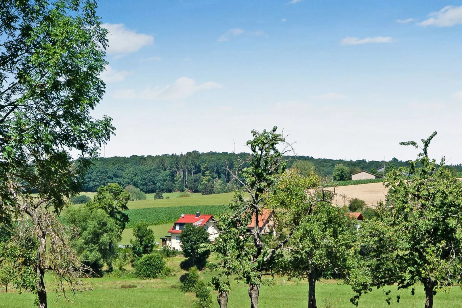 Sauerland - Diemelsee-Gebieden zomer 1km