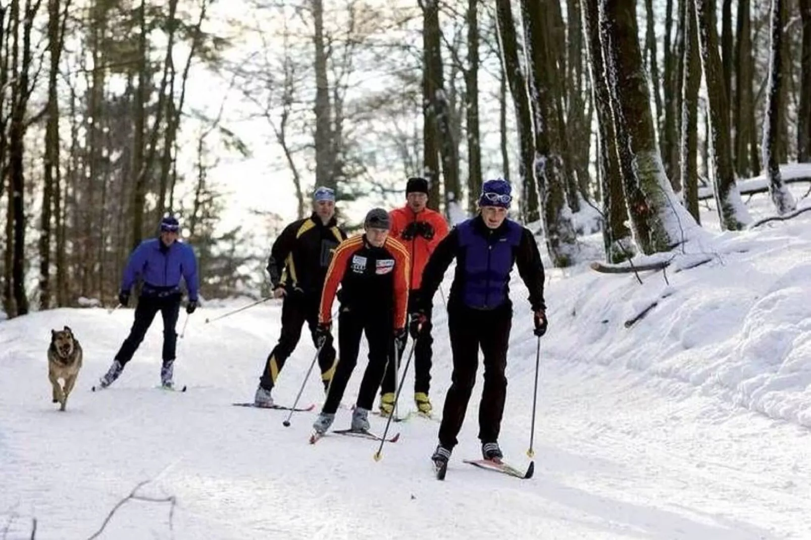 Sauerland - Diemelsee-Gebied winter 1km