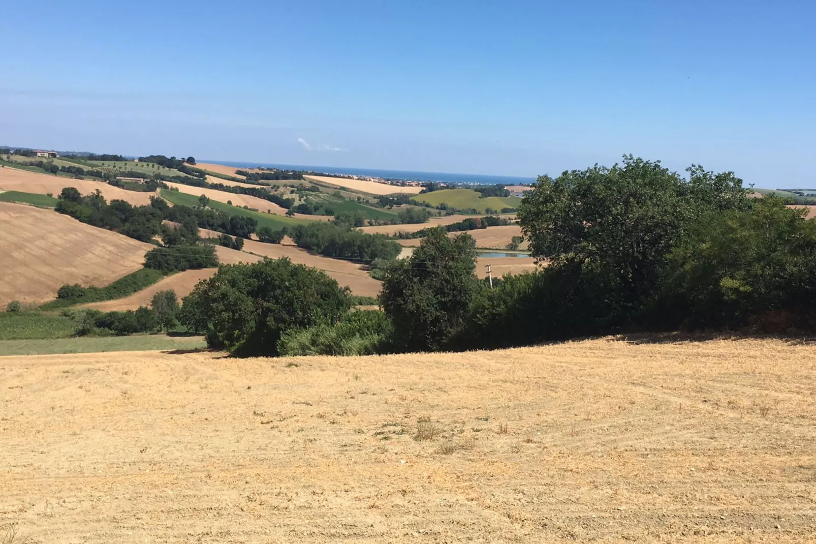 Terra-Gebieden zomer 20km