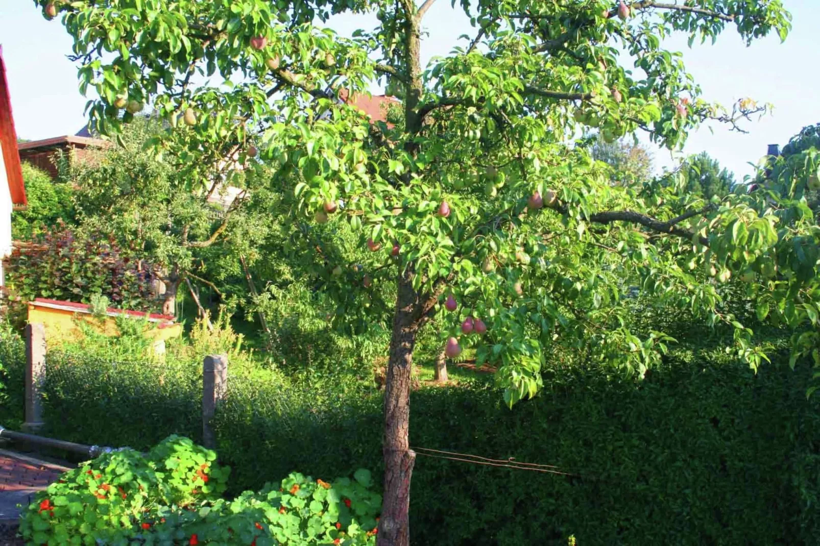 Helga-Tuinen zomer