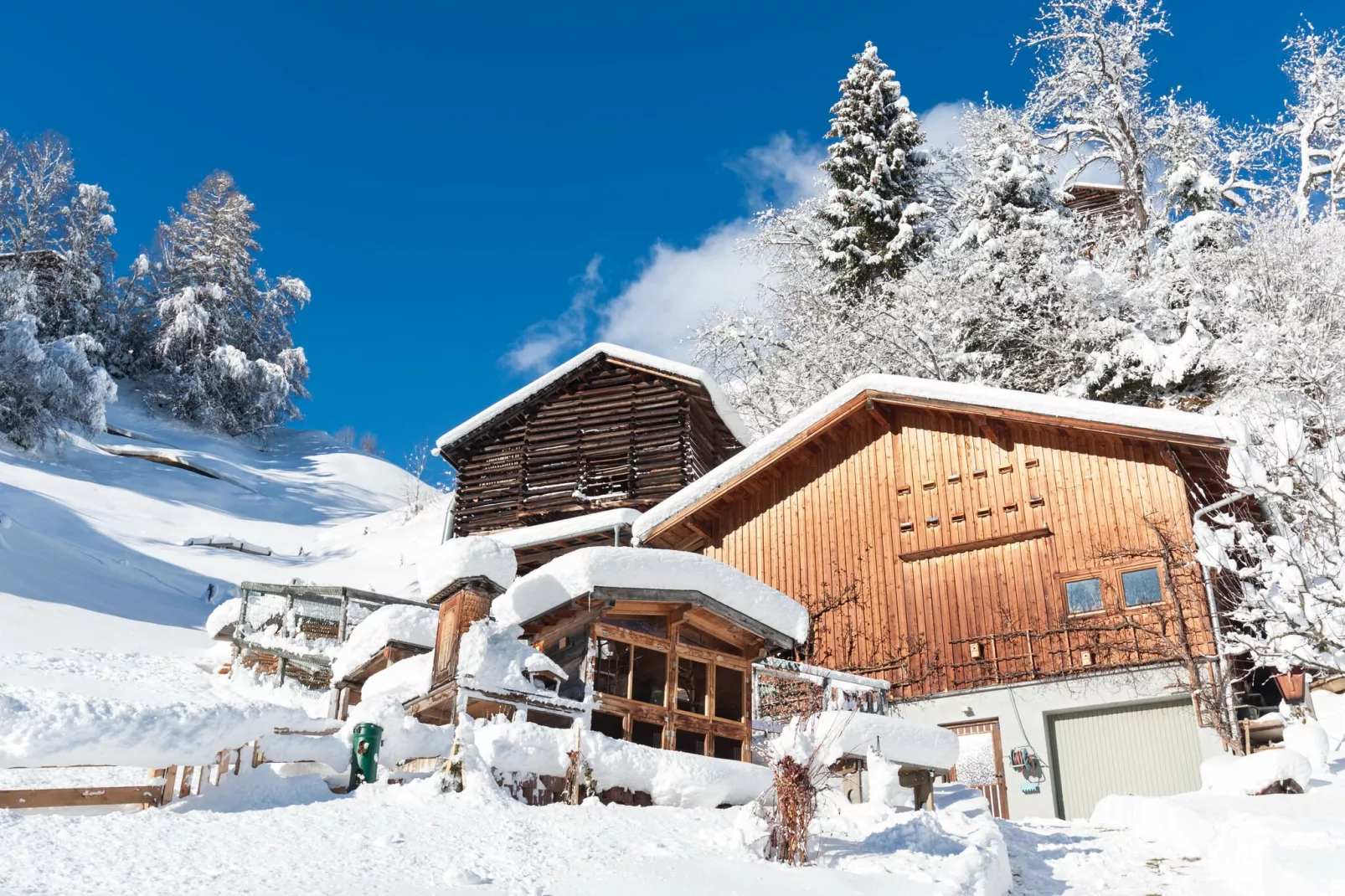 Aurora Winter & Sommer 4-5-Gebied winter 1km