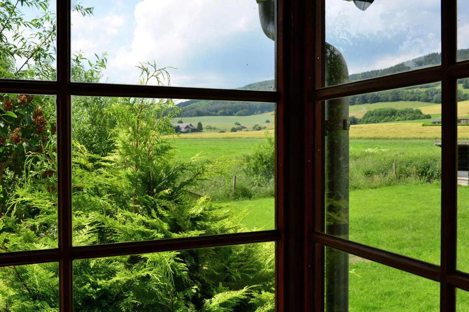 Sauerland - Diemelsee-Uitzicht zomer