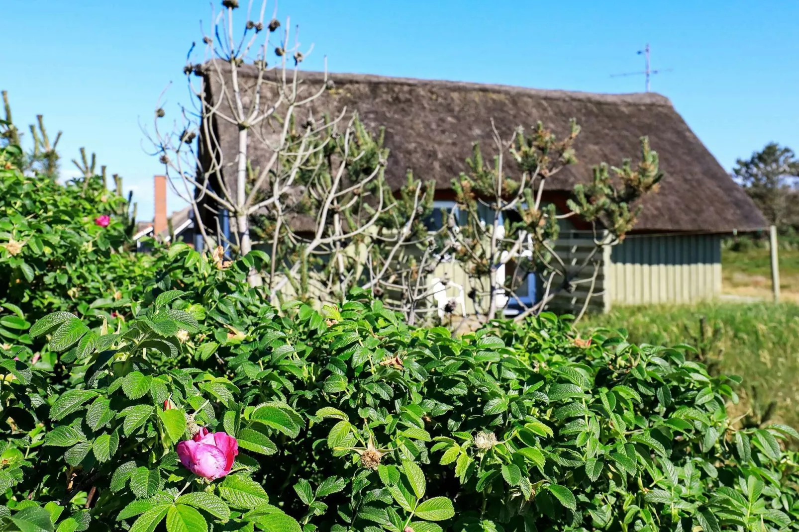 6 persoons vakantie huis in Hvide Sande-Uitzicht