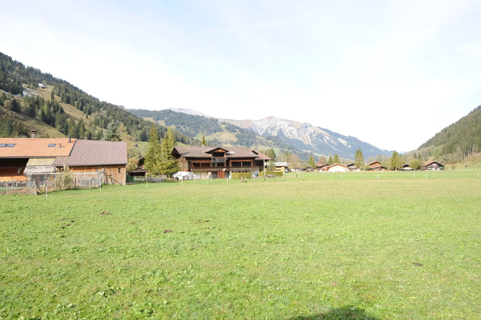 Appartement Salvisberg-Uitzicht zomer