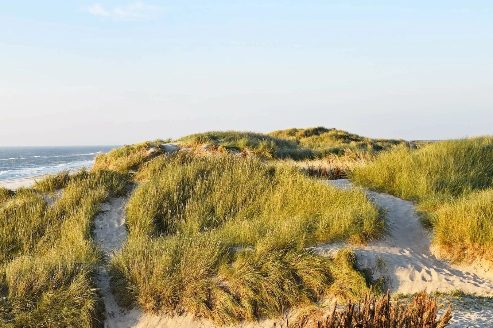 6 persoons vakantie huis in Hvide Sande-By Traum-Uitzicht